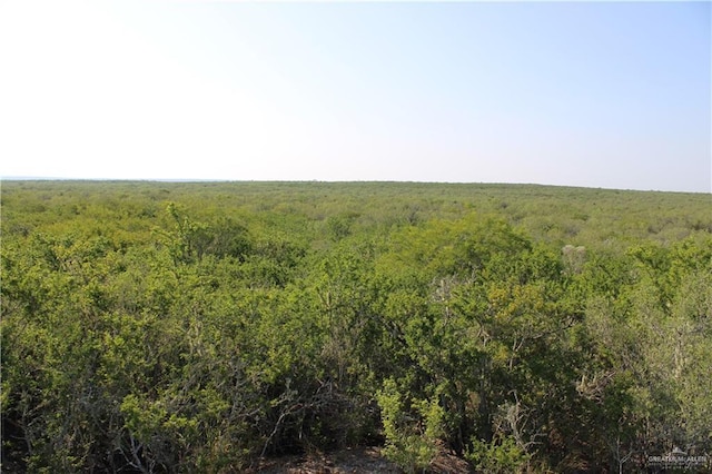 0 N Loma Blanca Rd, Roma, TX 78584 - photo 16
