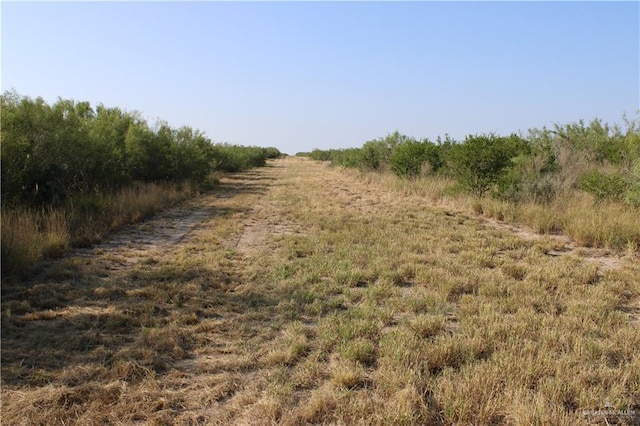 0 N Loma Blanca Rd, Roma, TX 78584 - photo 19