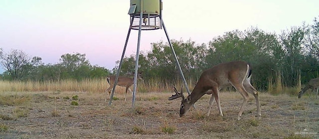 0 N Loma Blanca Rd, Roma, TX 78584 - photo 21