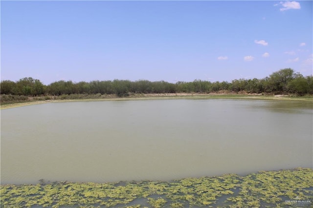 0 N Loma Blanca Rd, Roma, TX 78584 - photo 4