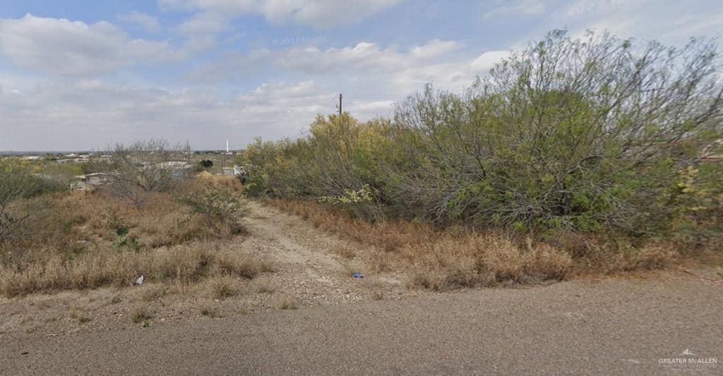 1019 Weslaco Ln, Zapata, TX 78076