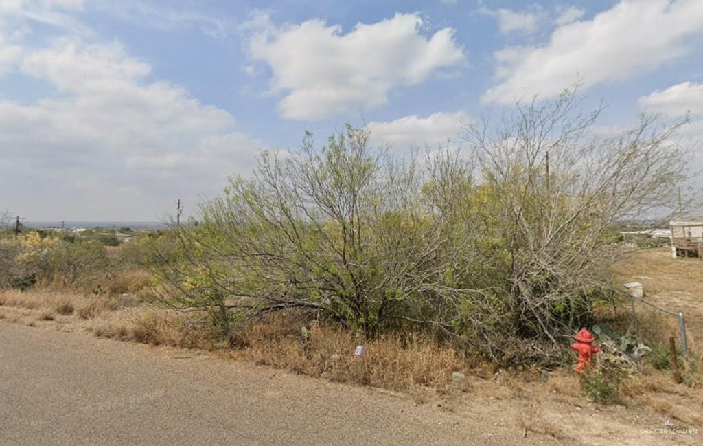 1019 Weslaco Ln, Zapata, TX 78076