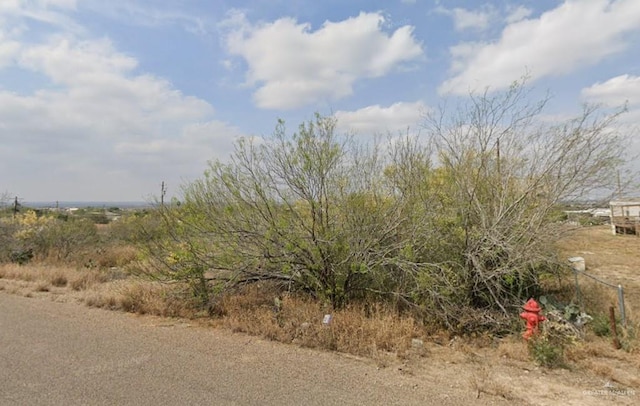 1019 Weslaco Ln, Zapata, TX 78076