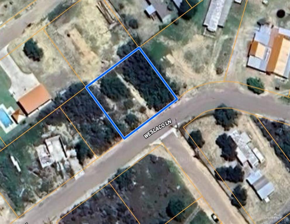1019 Weslaco Ln, Zapata, TX 78076