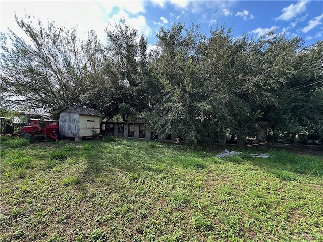 view of yard with a storage shed