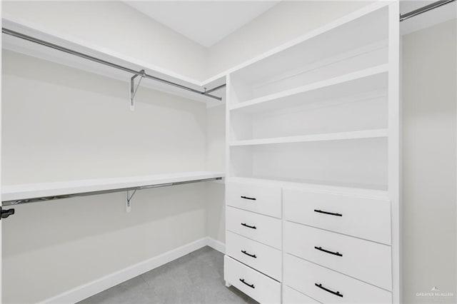 view of spacious closet