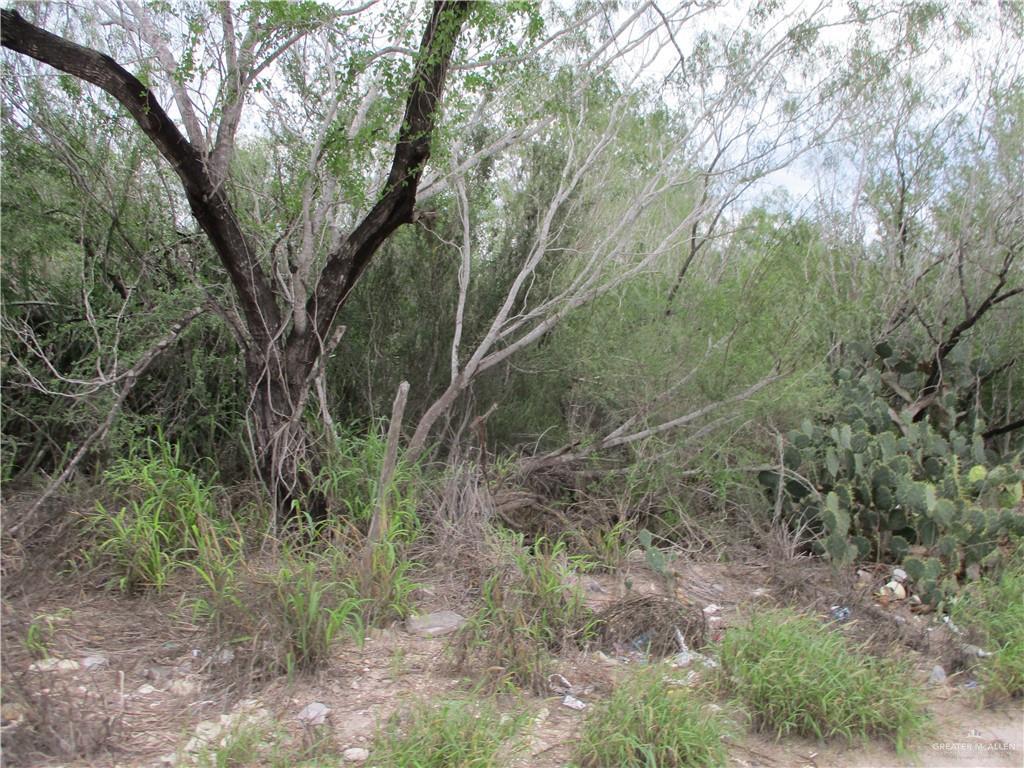 217 Charco Blanco Rd, Rio Grande City, TX 78582 - photo 1