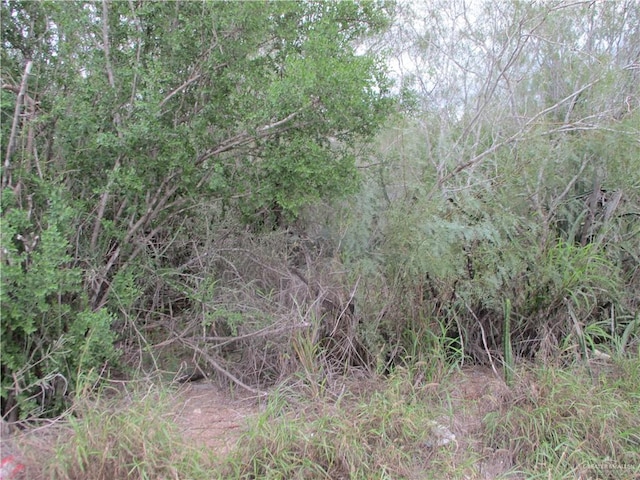 Listing photo 3 for 217 Charco Blanco Rd, Rio Grande City TX 78582