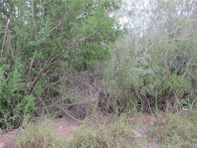 217 Charco Blanco Rd, Rio Grande City, TX 78582 - photo 3