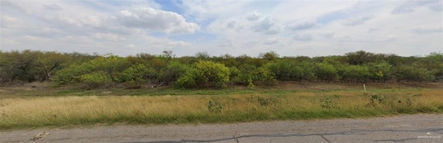 21703 Los Venados Dr, Edinburg TX, 78542 land for sale