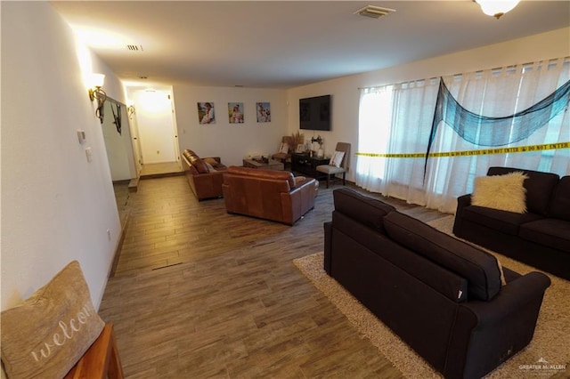 living room featuring wood-type flooring