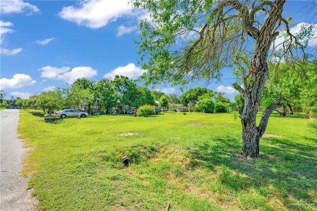 18300 Staton St, Combes, TX 78535 - photo 17