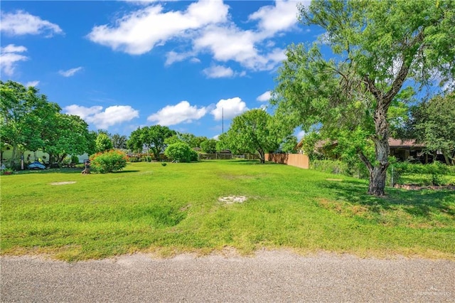 18300 Staton St, Combes, TX 78535 - photo 1