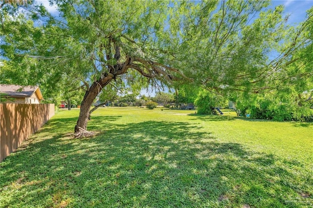 18300 Staton St, Combes, TX 78535 - photo 14