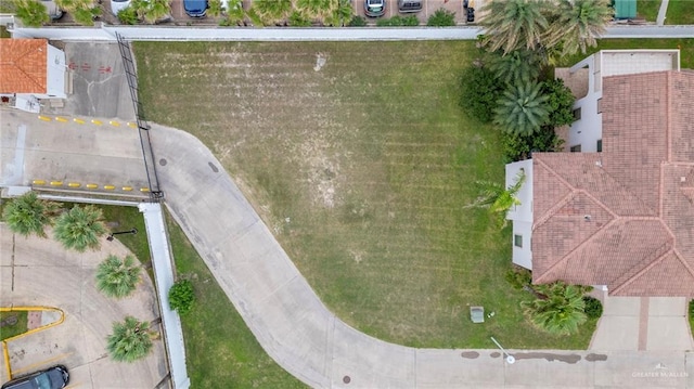102 E Villa Doce, South Padre Island, TX 78597 - photo 11