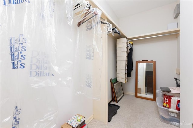 spacious closet with light carpet