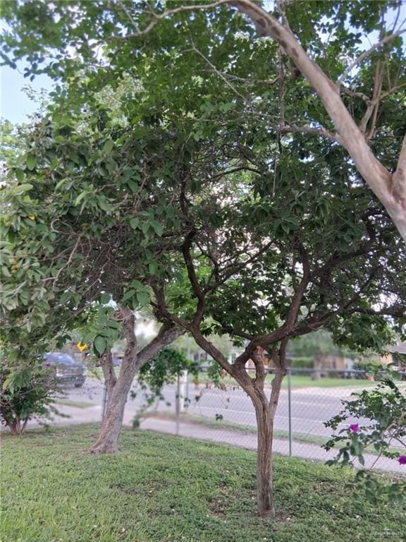 613 W Sprague St, Edinburg, TX 78539 - view of yard