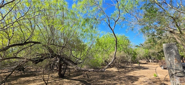 view of landscape