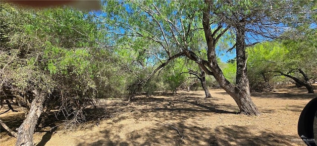 view of landscape