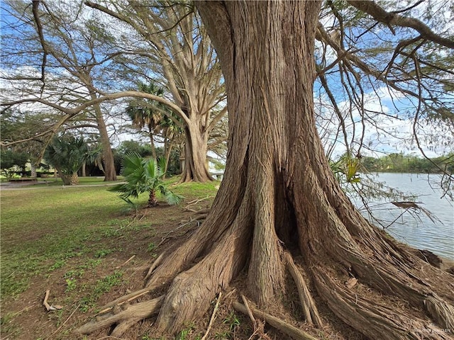 27101 N State Highway 345, San Benito, TX 78586 - view of nature with a nearby body of water
