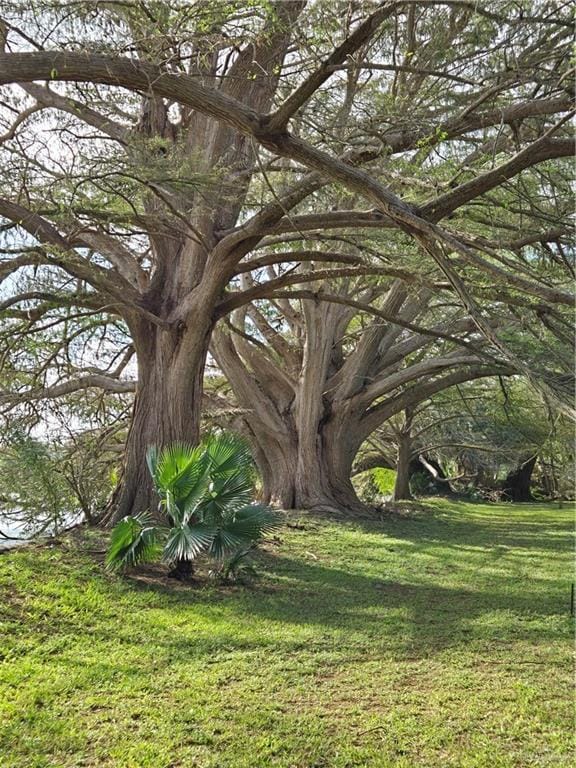 27101 N State Highway 345, San Benito, TX 78586 - view of grassy yard