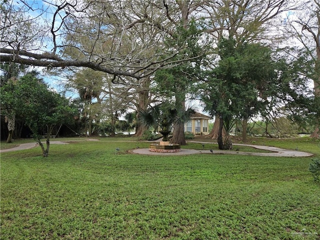 27101 N State Highway 345, San Benito, TX 78586 - view of grassy yard