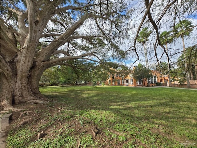 27101 N State Highway 345, San Benito, TX 78586 - view of green lawn