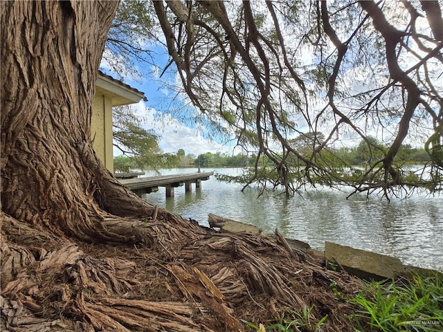 27101 N State Highway 345, San Benito, TX 78586 - water view
