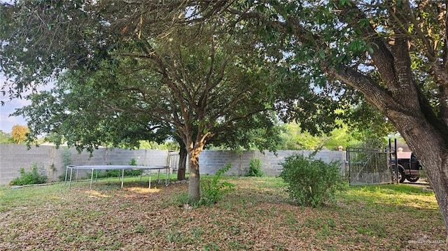3106 E Maren Dr E, Mission, TX 78574 - fenced backyard featuring a trampoline
