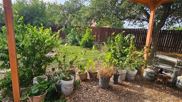 3106 E Maren Dr E, Mission, TX 78574 - view of yard featuring a vegetable garden