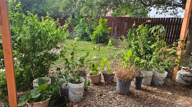 3106 E Maren Dr E, Mission, TX 78574 - view of yard with a vegetable garden