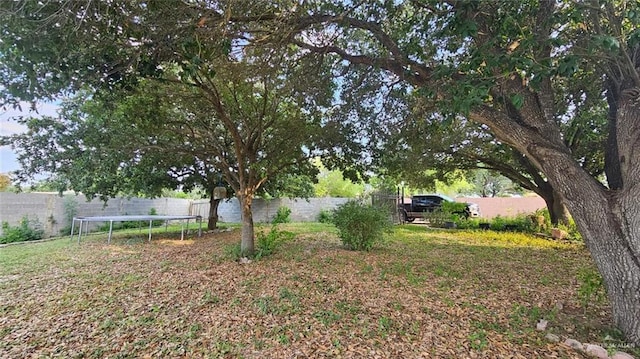 3106 E Maren Dr E, Mission, TX 78574 - fenced backyard featuring a trampoline