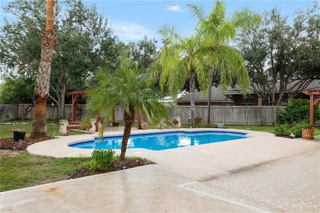 view of swimming pool featuring a patio area