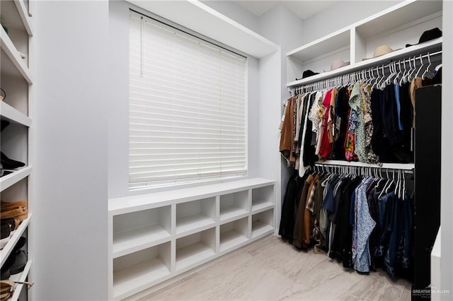 3306 Lauren Dr, Palmview, TX 78574 - spacious closet with light wood-style floors