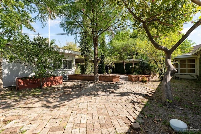 1821 Palm Blvd, Brownsville, TX 78520 - view of patio