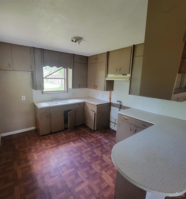 3135 Southmost Rd, Brownsville, TX 78521 - kitchen featuring under cabinet range hood, a textured ceiling, a sink, light countertops, and a peninsula