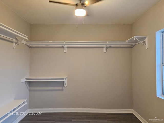 walk in closet with dark wood-type flooring