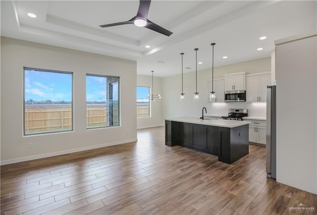 kitchen featuring stainless steel appliances, white cabinetry, an island with sink, and a tray ceiling