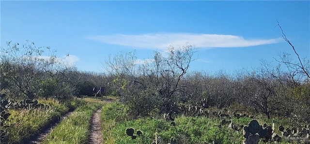 00 Boca Chica Rd, Brownsville, TX 78520