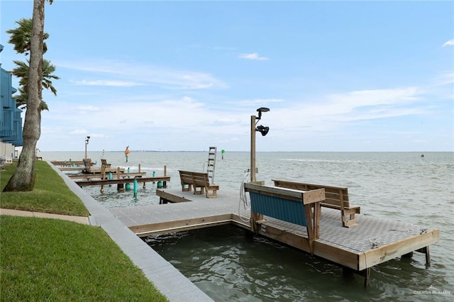 dock area with a water view