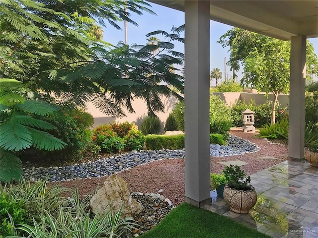 view of yard with a patio area