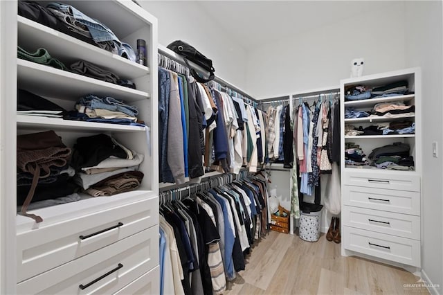 5112 W Burberry St, Edinburg, TX 78541 - walk in closet with light wood-style flooring