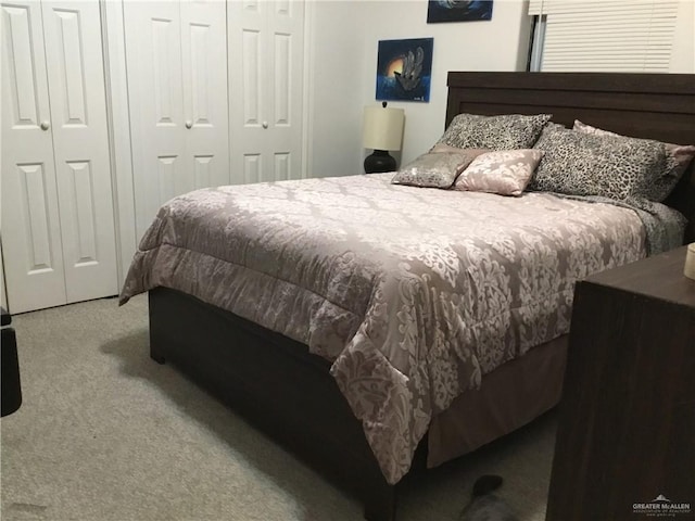 carpeted bedroom with two closets