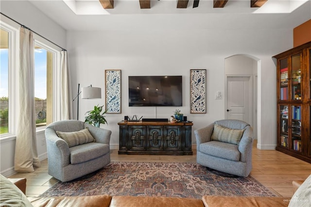 living room featuring ceiling fan, a healthy amount of sunlight, and wood-type flooring