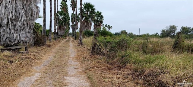 5906 N Brushline Rd, Mission, TX 78574 - view of street