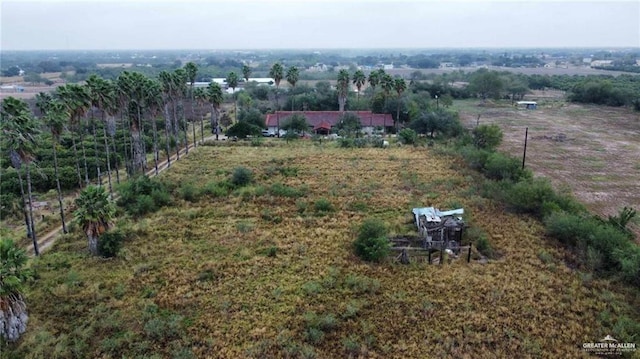 5906 N Brushline Rd, Mission, TX 78574 - overview of rural landscape