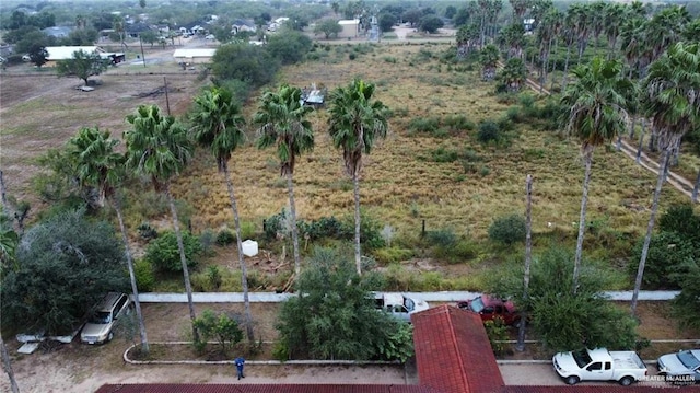 5906 N Brushline Rd, Mission, TX 78574 - drone / aerial view