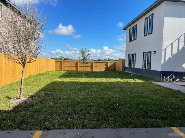 2913 E Israel Ave, Alton, TX 78573 - view of yard