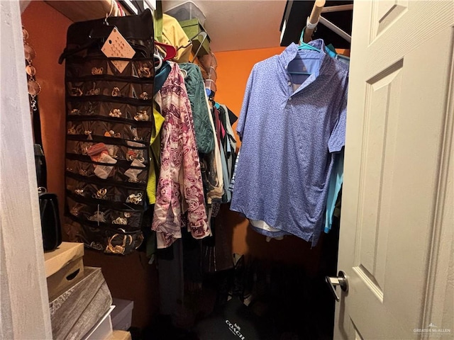16400 Mcalister Ave, Edinburg, TX 78541 - view of walk in closet