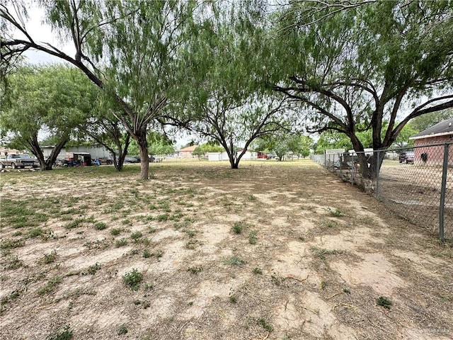 8110 Lake Citrus Dr, Edinburg, TX 78541 - view of yard